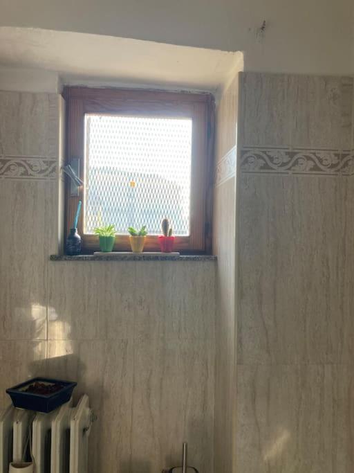 Casetta Pisa Turin Ngoại thất bức ảnh